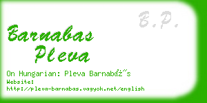 barnabas pleva business card